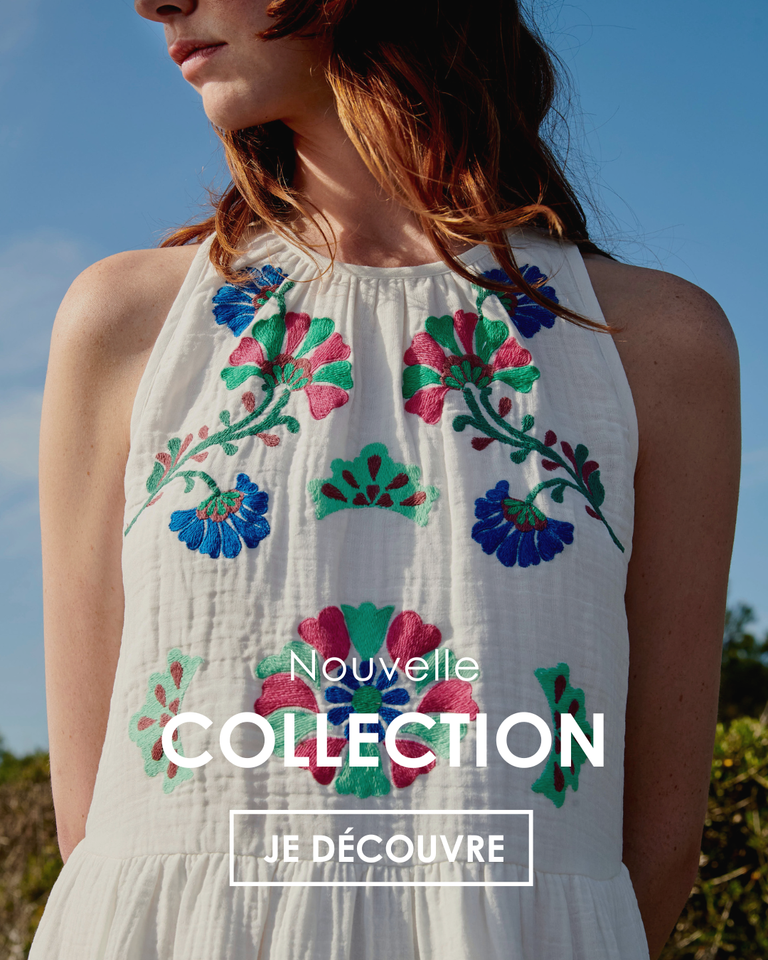 insert-pub-collection-e26